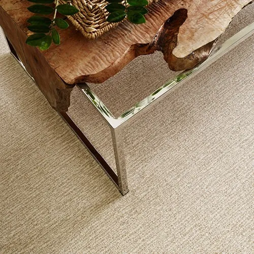 NEW-WAVE-ZZ056-WINDSWEPT-00222-H-DETAIL_500x500 Carpet | Carpet Empire Plus